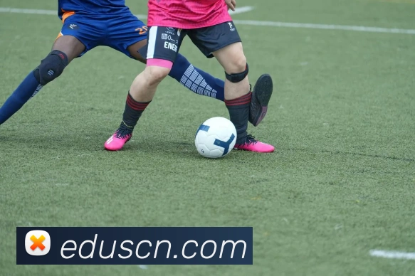 安博官网APP 封面图